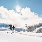 Falk - Privates Luxus-chalet Mit Sauna&pool Sankt Oswald (Carinthia)