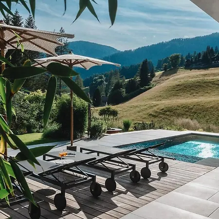 Falk - Privates Luxus-chalet Mit Sauna & Pool Villa Sankt Oswald (Carinthia)
